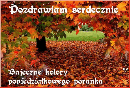 Pozdrawiam w bajecznie kolorowy poniedziałek